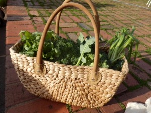 Basket of greens. 